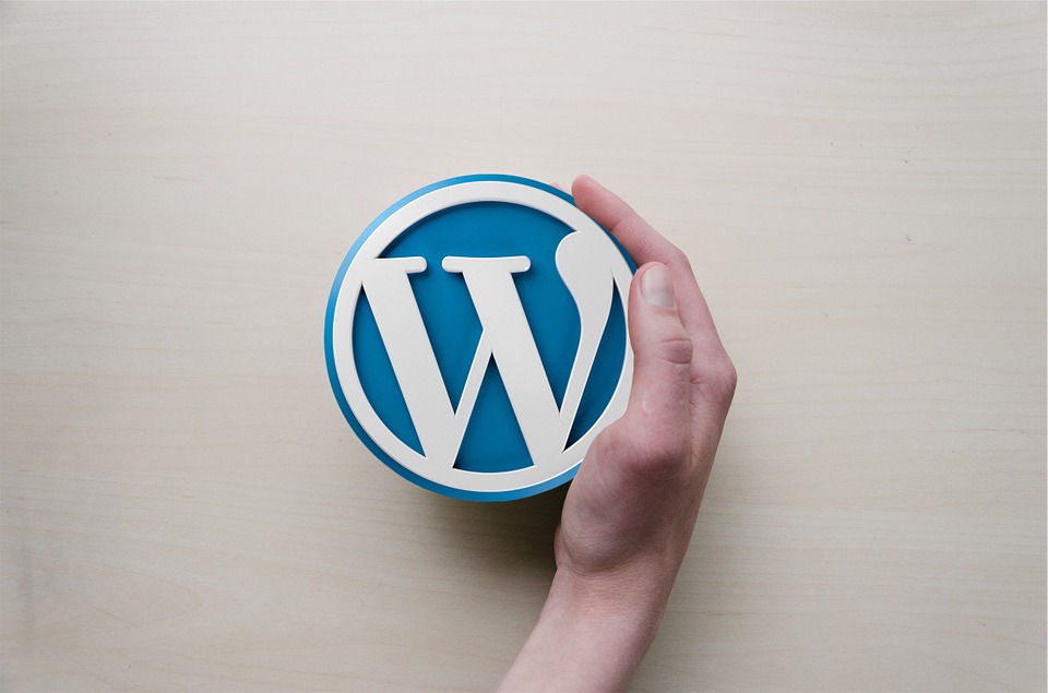 5 Simple Ways To Optimize Your WordPress Website